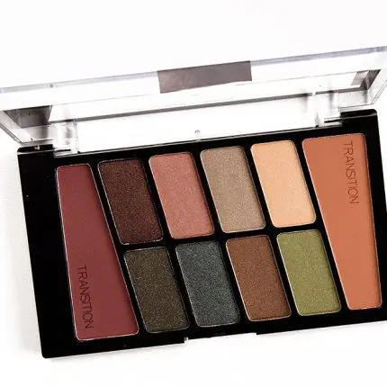 wet n wild color icon eyeshadow 10 pan