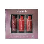scentuals lip and cheek tint gift set