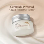 The Face Shop - Rice Ceramide Moisture Cream - 50ml - Image 2