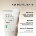 AXIS-Y - Sunday Morning Refreshing Cleansing Foam - Image 2