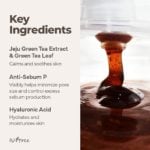 Isntree - Green Tea Fresh Cleanser - 120ml - Image 2