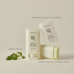 Beauty of Joseon - Matte Sun Stick Mugwort+Camelia (Spf 50+ Pa++++) - 18g - Image 2