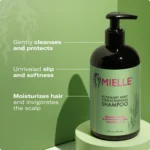 Mielle - Rosemary Mint Strengthening Shampoo - 355ml - Image 2