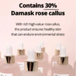 Bonajour - Rose Stem Cell Ampoule - 30ml - Image 2