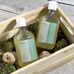bonajour tea tree scalp refreshing shampoo