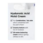 Isntree - Hyaluronic Acid Moist Cream - 100ml - Image 4