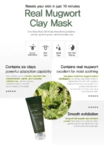 Isntree - Real Mugwort Clay Mask - 100ml - Image 2