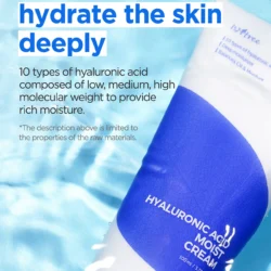 isntree hyaluronic acid moist cream 100ml