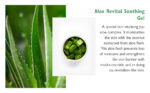 ISNTREE - Aloe Soothing Gel (Moisture Type) - 150ML - Image 5