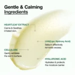 Anua - Heartleaf Pore Clay Pack - 100ml - Image 4