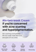 ISNTREE - Onion Newpair Gel Cream - 50ml - Image 3