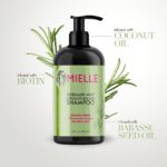 Mielle - Rosemary Mint Strengthening Shampoo - 355ml - Image 4