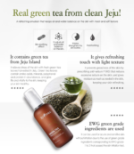 Isntree - Green Tea Fresh Emulsion - 120ml - Image 3
