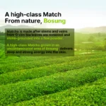 Some By Mi - Super Matcha Pore Clean Clay Mask - 100g - Image 6