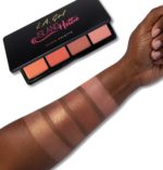 L.a Girl - Fanatic Blush Palette - Image 4