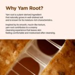 ISNTREE - Yam Root Vegan Milk Cleanser - 220ml - Image 7