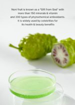 celimax - The Real Noni Energy Ampoule - 30ml - Image 2