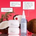 Briogeo - Healthy Hair Delights Gift Set