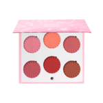 Ofra -  Mini Mix Face Palette - Charm Your Cheeks